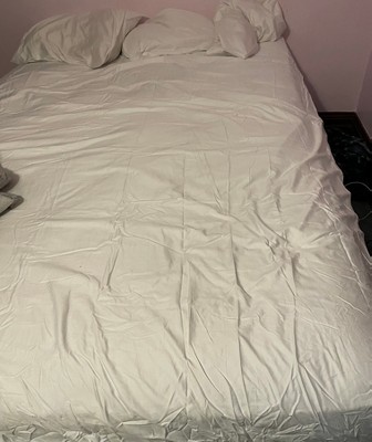 Guest review image 1 of 1, zoom in