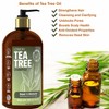 Lovery Tea Tree Shampoo - 16oz Organic Hair Care Made in USA - 3 of 4