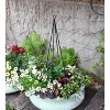 ACHLA Designs 2pk 34" Wrought Iron Outdoor Garden Container Trellis Black Powedercoated - 3 of 4
