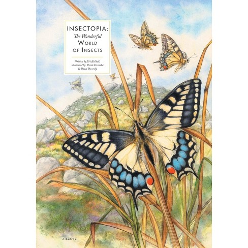 Insectopia - (large Encyclopedias Of Animals) By Jiri Kolibac (hardcover) :  Target