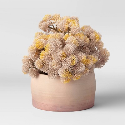 6" x 7" Artificial Round Sedum Plant Arrangement in Ceramic Pot - Threshold™