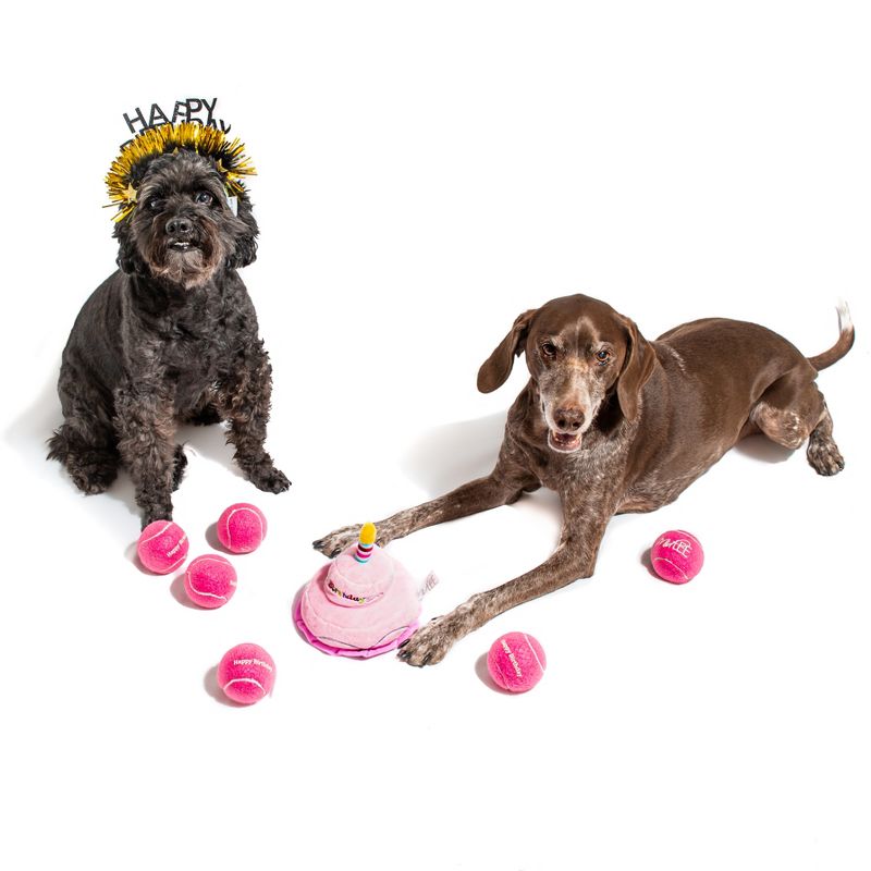 Midlee Pink Happy Birthday Dog Tennis Balls, 4 of 10