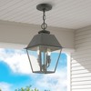 Livex Lighting Wentworth 2 - Light Pendant in  Charcoal - 3 of 4