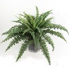 Floral Home 34" Wide Boston Fern with 42 Lifelike Fronds - 6-Piece - 3 of 4