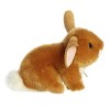 Aurora Small Playful Baby Bunny Miyoni Tots Adorable Stuffed Animal Ginger 7.5" - 3 of 4