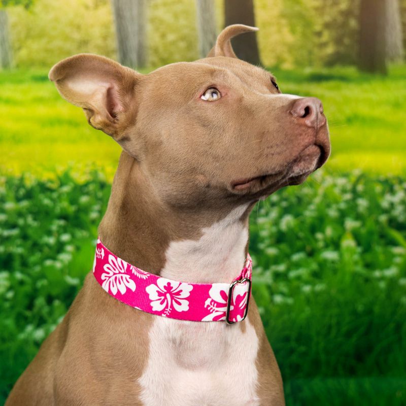 Country Brook Petz Premium Pink Hawaiian Dog Collar, 2 of 7