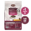 Nutrish High Protein Real Beef, Potato & Peas Flavor Recipe with Venison and Lamb Dry Dog Food - 2 of 4