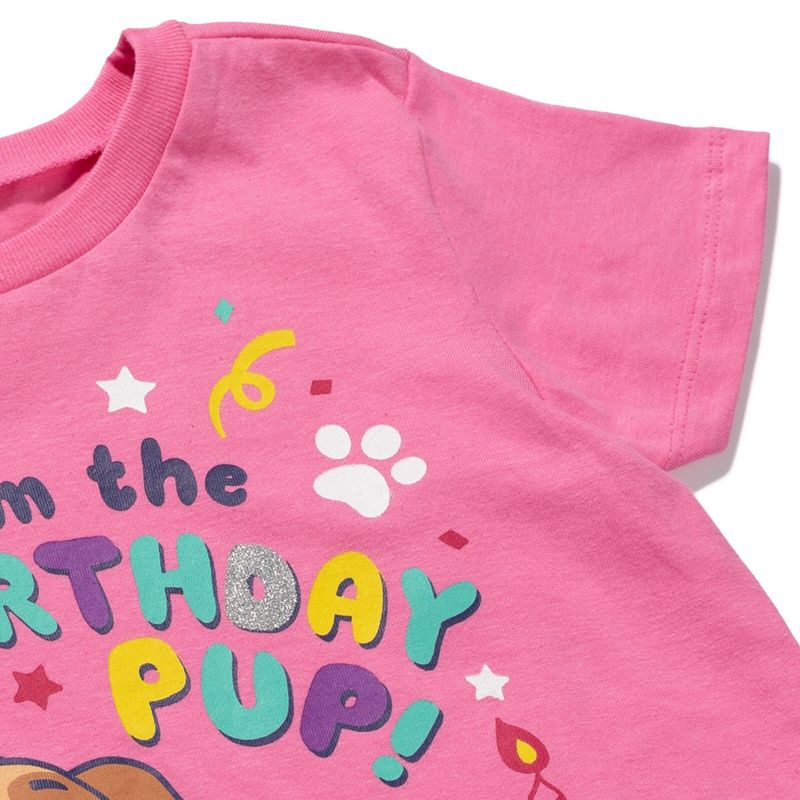 Paw Patrol Nickelodeon Skye Rubble Chase Girls Birthday T-Shirt Toddler to Big Kid, 4 of 5