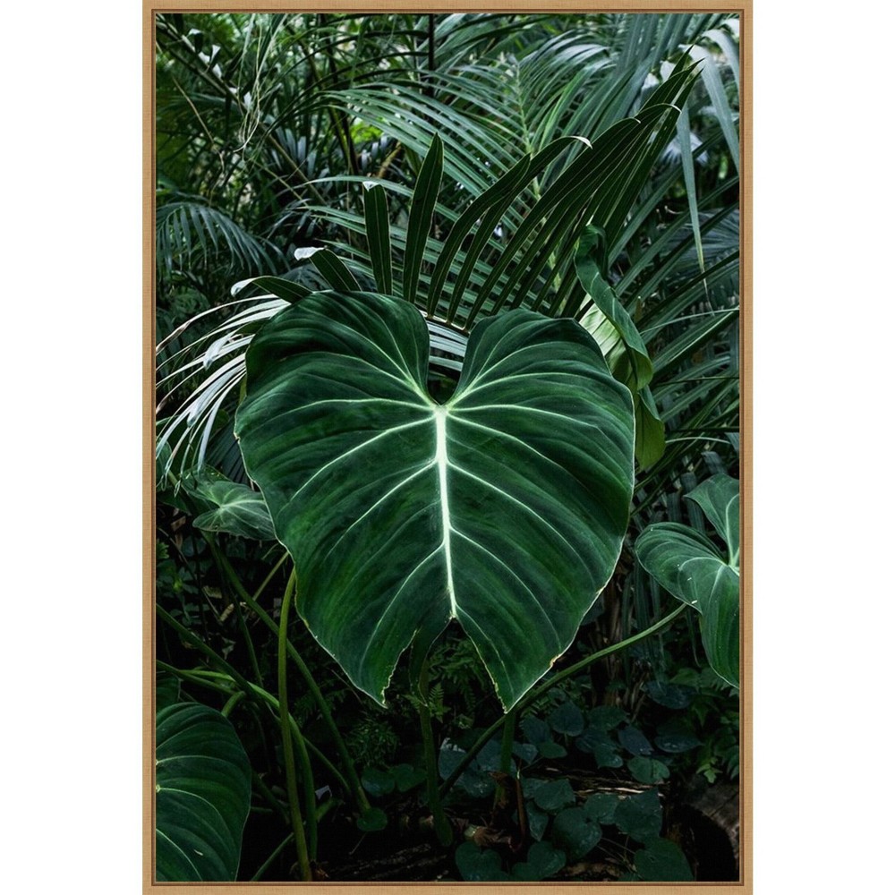 Photos - Other Decoration Amanti Art 23"x33" Tropical Leaf III by PhotoINC Studio Framed Canvas Wall