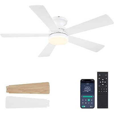 46 Inch Downrod Ceiling Fan with 5 Blades