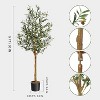 2pcs Artificial Olive Tree,5ft Faux Silk Plant for Home Office Decor with Moss,Black Nursery Pot,Artificial Silk Plant,Wood Trunk and Realistic Fruit - 3 of 4