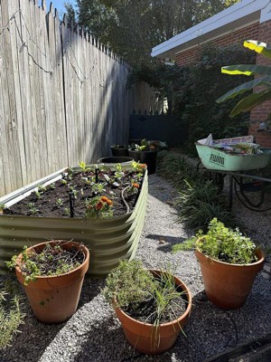 Guest review image 1 of 1, zoom in