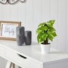 Nearly Natural 9-in Pothos Artificial Plant in White Planter (Real Touch) - 3 of 4