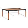 Tommy Metal and Eucalyptus Wood Patio Coffee Table - Indoor/Outdoor - CPT1029 - Black/Natural - Safavieh Couture - 4 of 4