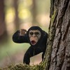 Breyer Animal Creations CollectA Wildlife Collection Miniature Figure | Chimpanzee Male - 2 of 4