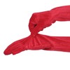 INSPIRE CHIC Women's Long Sleeve Velvet Opera Gloves - 4 of 4