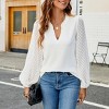 Women's Solid Color V - Neck Lace Panel Chiffon Blouse, Elegant Long - Sleeve Top for Casual and Office Wear - 2 of 4