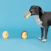 PetShop by Fringe Studio On a Roll Dog Interactive Toy Set - 3pk - 3 of 4