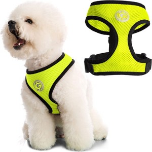 Gooby Soft Mesh Harness, Small Dog Harness with Breathable Mesh, Lime, Small - 1 of 1