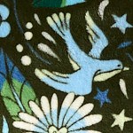 enchanted woodland