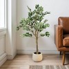 KWPZQEB Artificial Ficus Tree with Black Planter, Realistic Faux Silk Indoor Outdoor Plant for Home Office Living Room, Porch, Garden Decor - 2 of 4