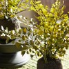 Plum & Post Maidenhair Drop-Ins Set of 3 - 4 of 4