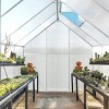 SEVOBAL Greenhouse with Twin-Wall PC Panels Sliding Door Roof Vent Quick-Assembly UV Protection Walk-in Greenhouse for Plants, Clear, 189"*32.5"*80" - 2 of 4
