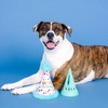 PetShop by Fringe Studio Yappy Barkday Dog Treat Dispenser Toy - image 3 of 4