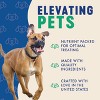 Finley's All Natural Duck Soft Training Bite Dog Treats - 16oz - 4 of 4