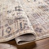 Hauteloom Iiona Area Rug - 4 of 4