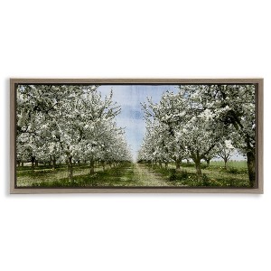 Stupell Industries Blooming White Tree Orchard, 31" x 14" - 1 of 4