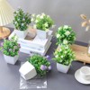 BRINJOY 6-Pack Mini Artificial Potted Plants with Flowers - Small Faux Greenery Set for Home and Office Decor - 4 of 4