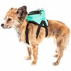 Angel Sar Dual-Pocket Animated Dog Harness Backpack, Breathable Mesh Pet Carrier Vest with Adjustable Straps for Small Dogs - 2 of 4