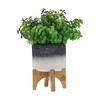 Okak Modern Pattern Planter with Saucer Decorative Plant Pots Ideal for Indoor Greenery Home Decor, Succulents and Small Plants - 4 of 4