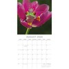 2026 Square Wall Calendar, Fabulous Frogs, 16-Month Animals Theme with 180 Reminder Stickers (12x12 In) - 3 of 4