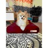Barker Junior 4" Orthopedic Dog Bed - 2 of 4