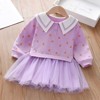 MyKids-Usa Baby Girl Fruit Pattern College Style Lapel Design Mesh Patchwork Dress - 3 of 4