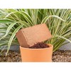 Envelor Coco Coir Brick Potting Soil - 2 of 4
