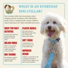 Country Brook Petz Everyday Nylon Dog Collar - 4 of 4
