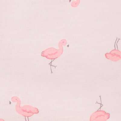 flamingoes