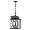 Acclaim Lighting Calvert 4 - Light Chandelier in  Oil-Rubbed Bronze - 2 of 2