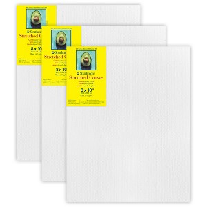 Strathmore 300 Series Gallery Stretched Canvas, 8x10 inch, Pack of 3 - 1 of 4