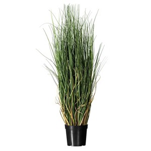 Artificial Grass Plant (24") - Vickerman: PVC Faux Curled Greenery, Indoor/Outdoor Decor, Round Black Plastic Pot - 1 of 4