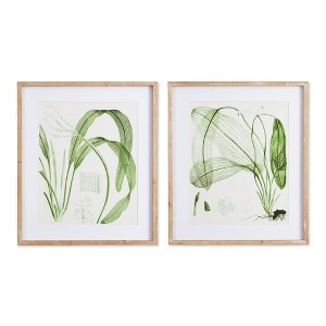 Plum & Post Aquatic Leaf Prints, Set Of 2 - 1 of 4