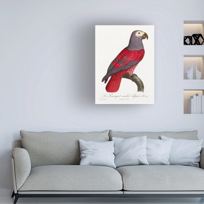 Red and Gray Parrot Vertical Canvas Art, 14x19