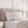 SEVOBAL Bed Pillows Dreaming Twin Pack Bed Pillows, Extra Lofty Hypoallergenic Pillows for Ultimate Plush Support Sleeping, White, 20"*28"*8" - 2 of 4