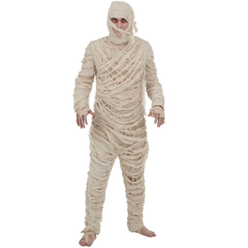 HalloweenCostumes.com Plus Size Men's Mummy Costume, 1 of 4