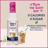 Jordan's Skinny Syrups Naturally Sweetened Skinny Syrups Vanilla Bean - 12.7oz - image 2 of 4