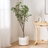 Artificial Milan Leaf Bonsai Tree for Home Office Decor Realistic Faux Plant with Oval Leaves and Textured Bark Indoor Decorative Greenery Planter - 4 of 4