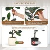 Jojoka Artificial Magnolia Tree with Planter Pot, Realistic Faux Floor Plant for Indoor Home Living Room Office Decor - 3 of 4